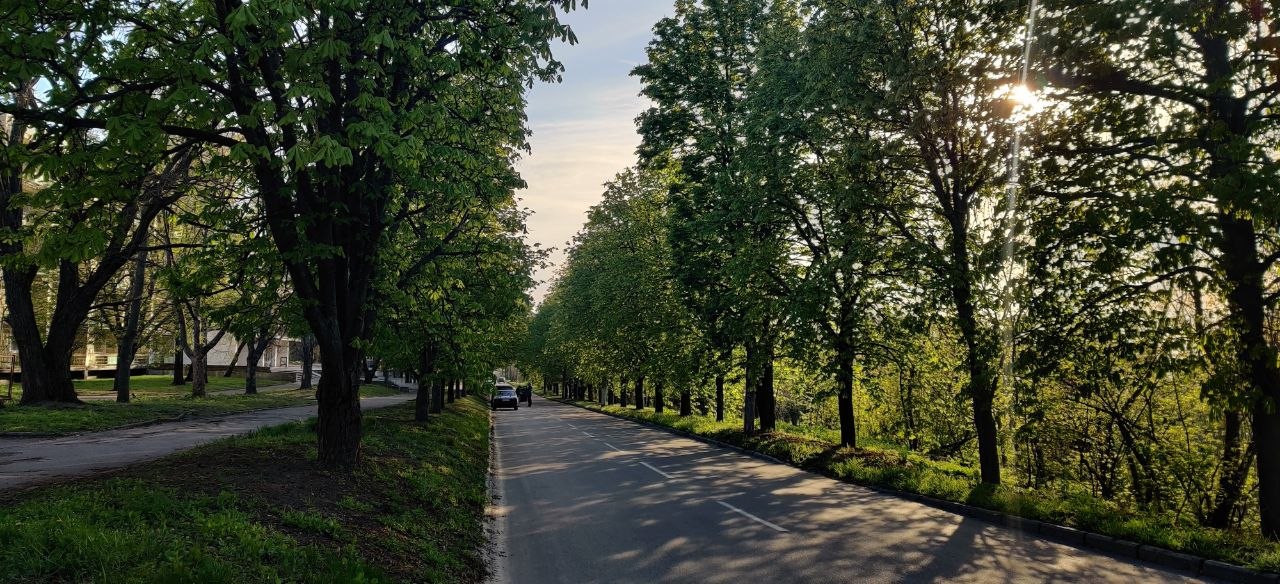 EMA Journal image